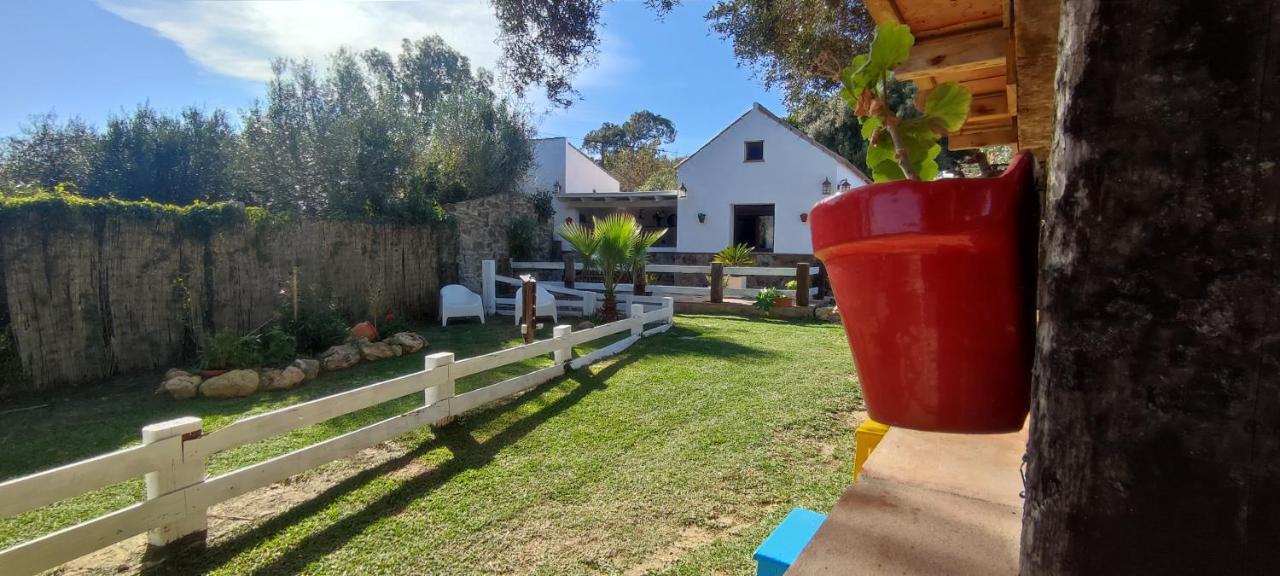 La Casa De Rodrigo Y Manuela Villa Tarifa Eksteriør billede
